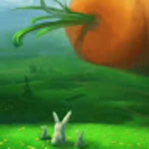 Meet your Posher, Shanne